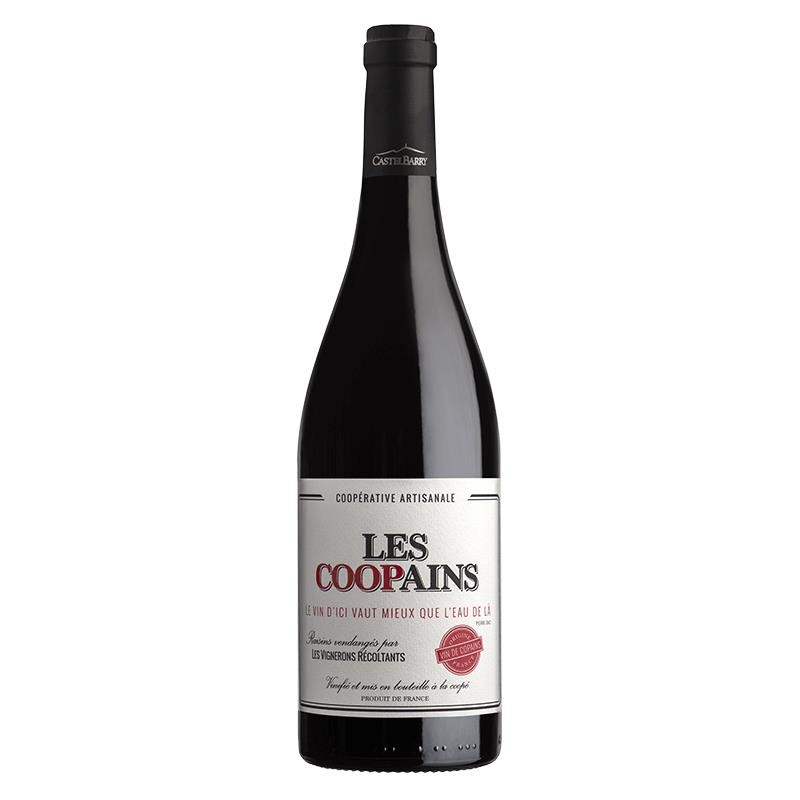 VDF_LES_COOPAINS_RGE_1