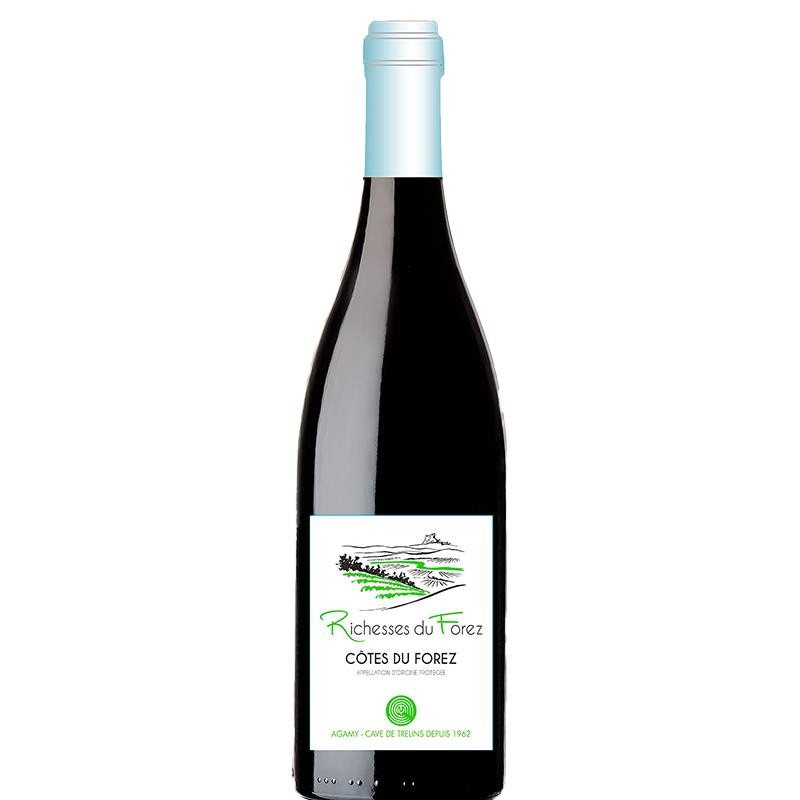Richesses Du Forez - 2023 -...