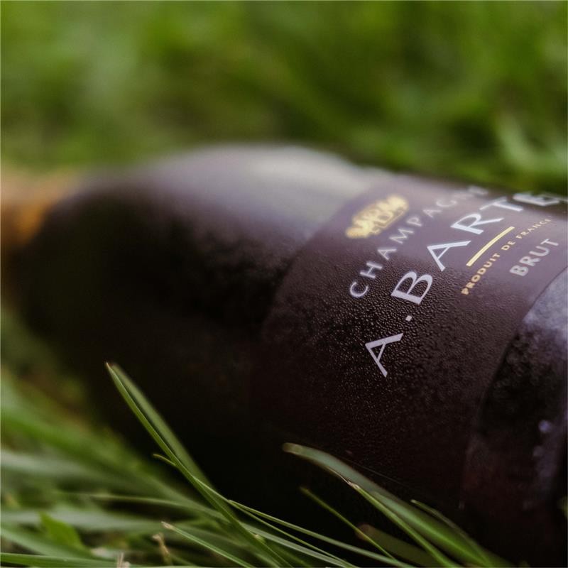 CHAMPAGNE_BARTEL_BRUT_2