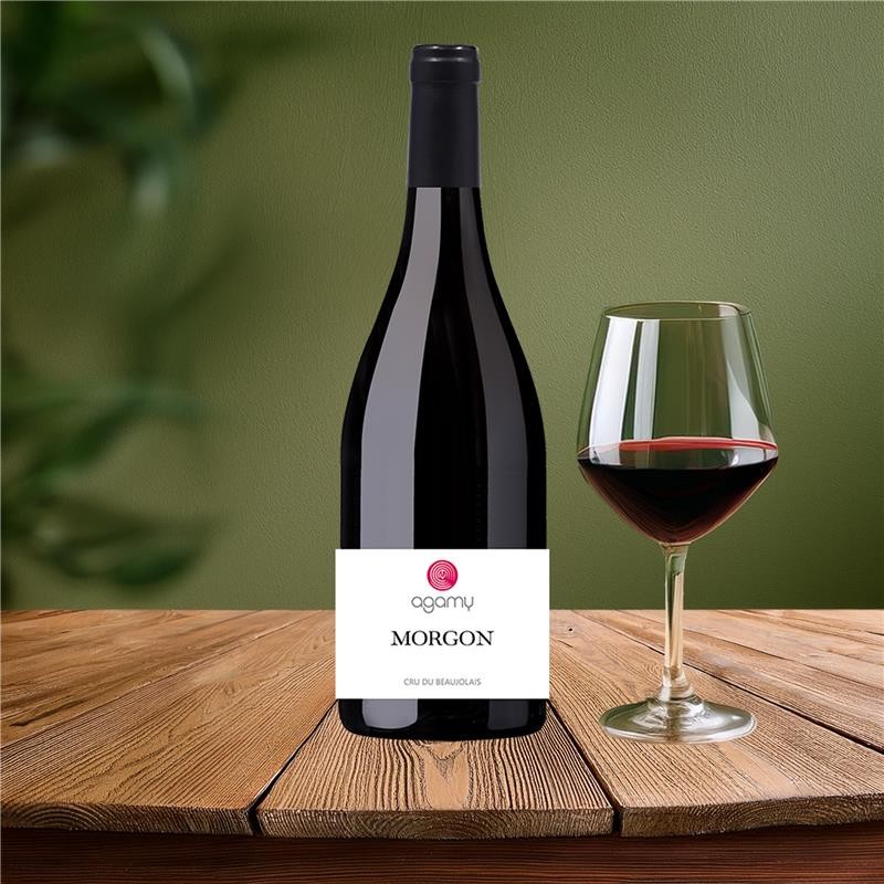 MORGON_ROUGE_AGAMY_2