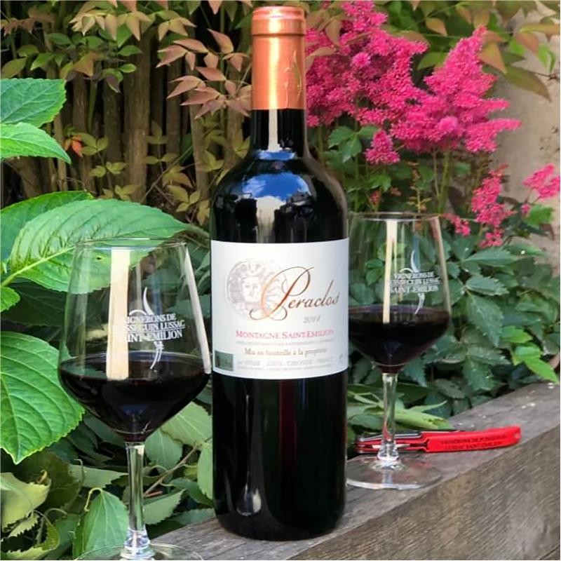 MONTAGNE_ST_EMILION_RGE_PERACLOS_2019_2