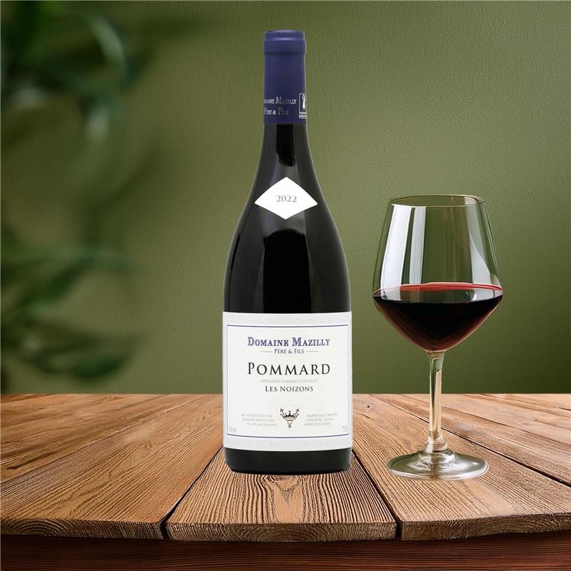 POMMARD_RGE_NOIZONS_2