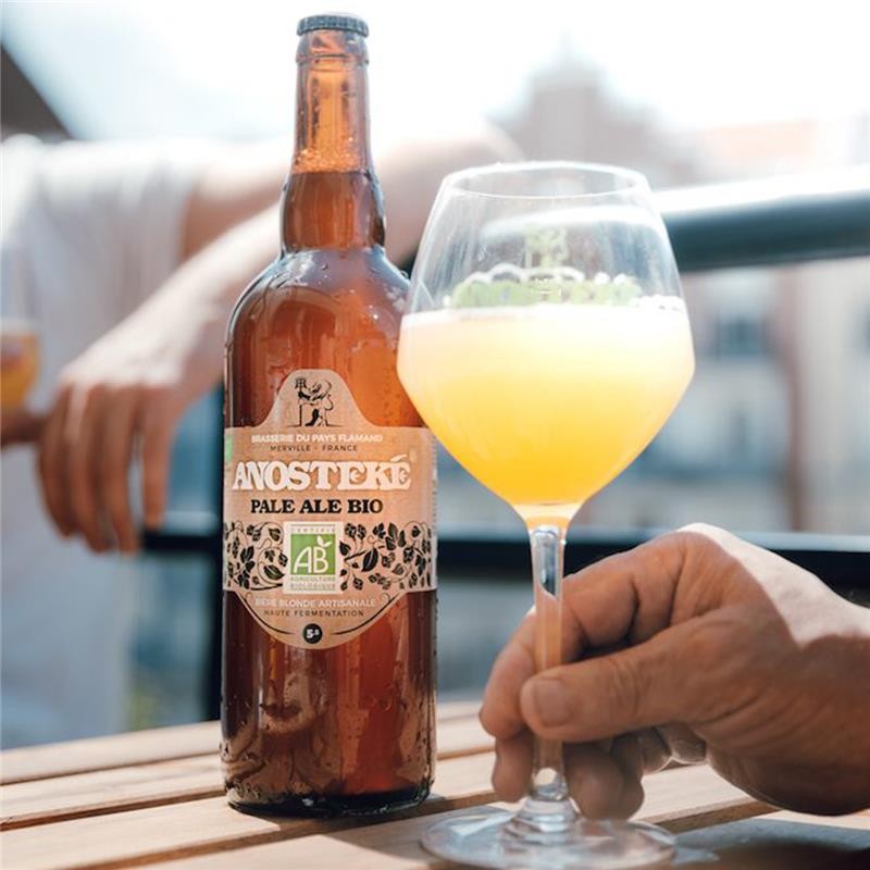 BIERE_ANOSTEKE_PALE_ALE_BIO_75CL_2