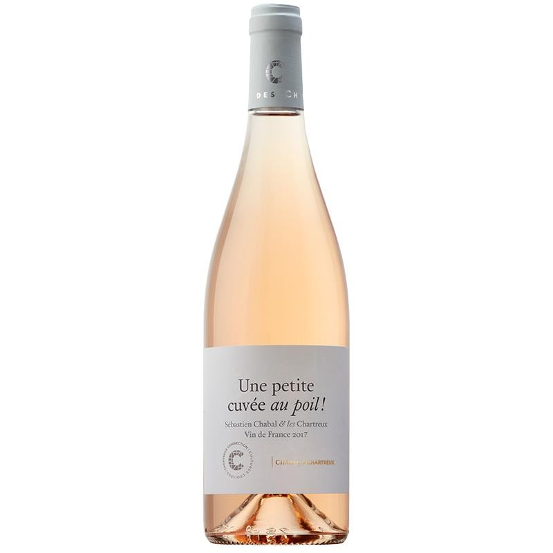 VDF_ROSE_AU_POIL_CHABAL_1