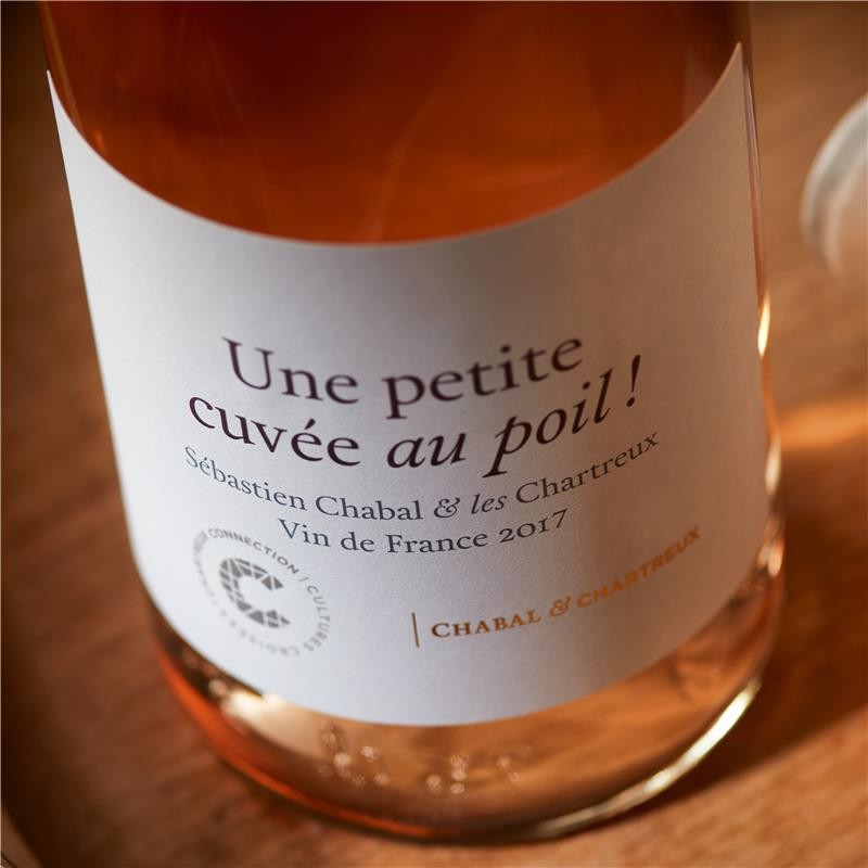 VDF_ROSE_AU_POIL_CHABAL_2