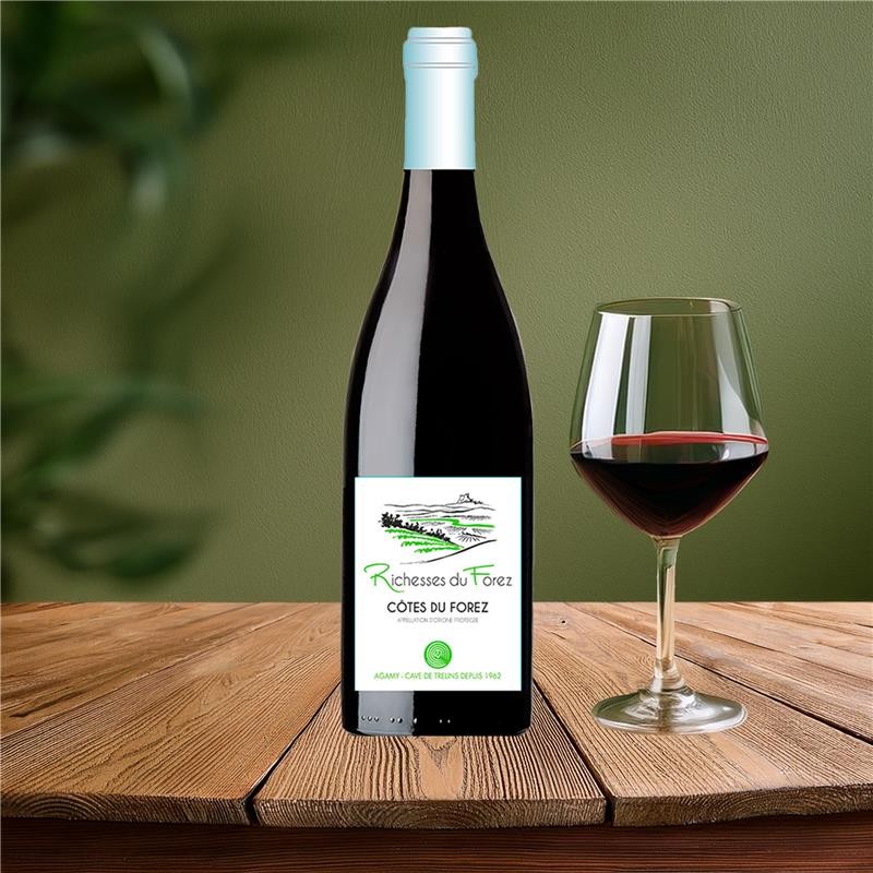 COTES_FOREZ_RGE_RICHESSES_FOREZ_2