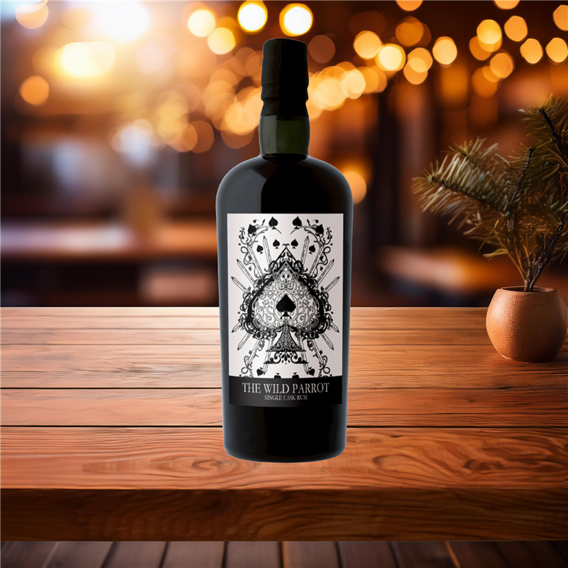 004267_2_rhum_the_wild_parrot_6_ans