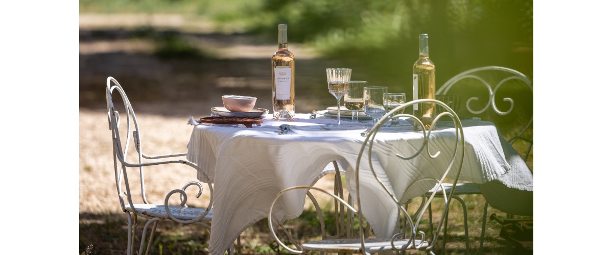 Rosé 0 degré : un concentré de fraîcheur sans compromis