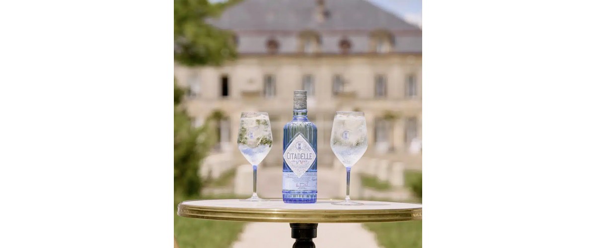 L'origine du gin et son évolution